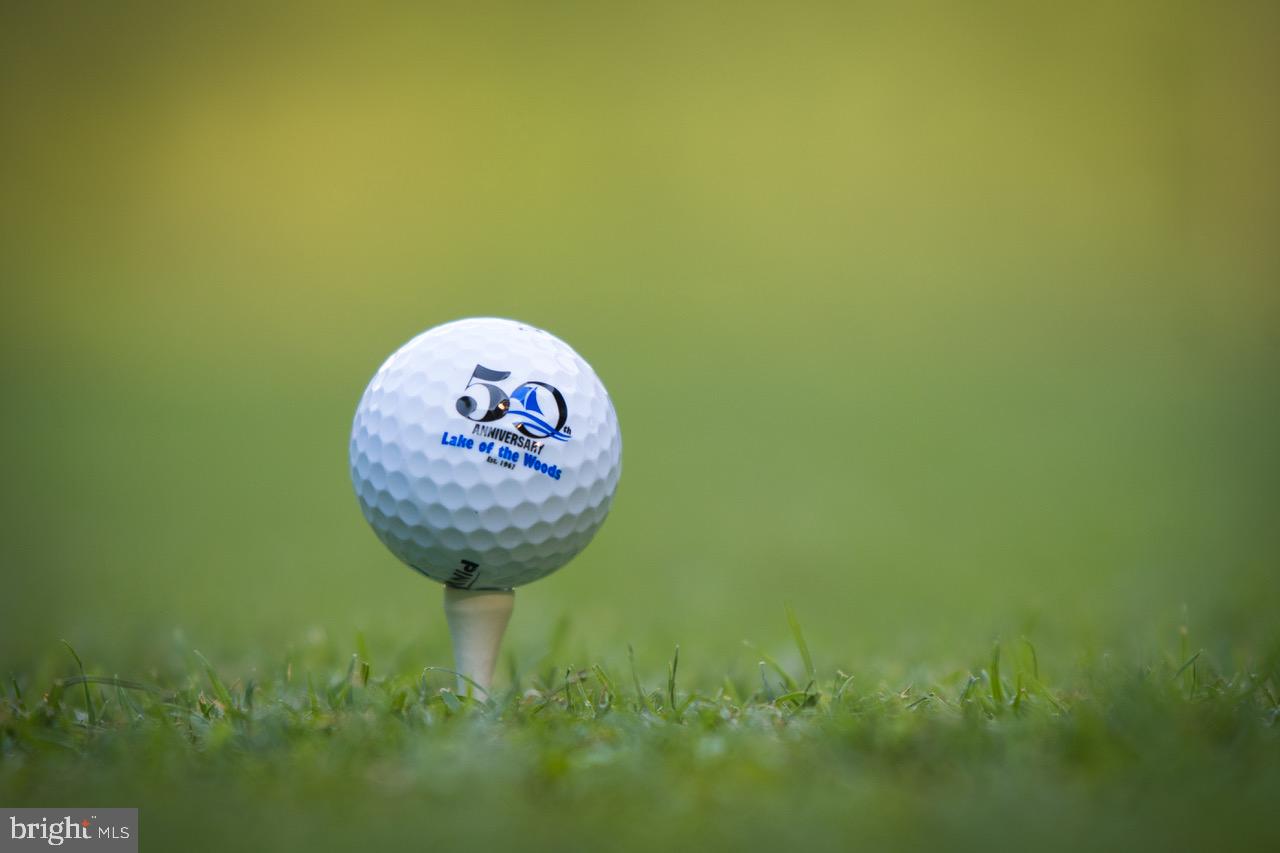 LAKE OF THE WOODS - Residential