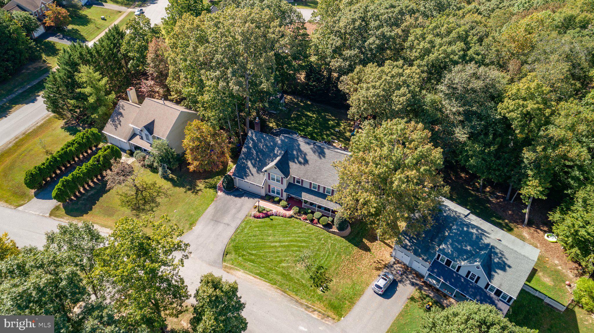 CARDINAL FOREST - Residential