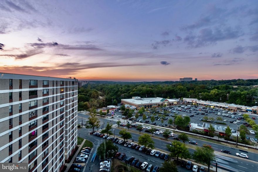 Soak in the stunning views from this condo unit on the 16th floor! This two bedroom, one bathroom condo has been newly renovated and has brand new windows to gaze out and see for miles! In the heart of Alexandria, this condo is walkable to shopping, dining, recreation, and more! The open floor plan is perfect for gatherings. Cozy up by the gas fireplace with charming mantle, ready for your seasonal decorations! The granite countertops and glass tile backsplash complement the bright white cabinetry and stainless steel appliances in the kitchen. Hardwood floors throughout the main living areas. Both bedrooms are spacious and boast walk-in closets with ample storage. The bathroom has been updated with elegant tile work and a rain shower head. No stairs to climb with the elevator! All utilities included except for cable, internet and phone! The Forty Six Hundred condominium boasts a children's playroom, convenience store,  updated fitness center, game room, and an outdoor pool, along with the convenience of 24-hour concierge service. The location is perfect for commuters with easy access to the Pentagon, I-395, 495, as well as proximity to both King Street and Van Dorn Metro stations. The Dash bus stop, conveniently located right in front of the building, offers free transportation. Nearby amenities include an Aldi's next door, Harris Teeter and other shops across the street, public library, and the scenic Ben Brenman Park with its lake, bike trails, and a large dog park. The Holmes Run Trail is also just a short distance away. Additionally, construction is in progress at the former Landmark Mall for future Inova Health System and Medical Campus locations. Ample unassigned parking.
