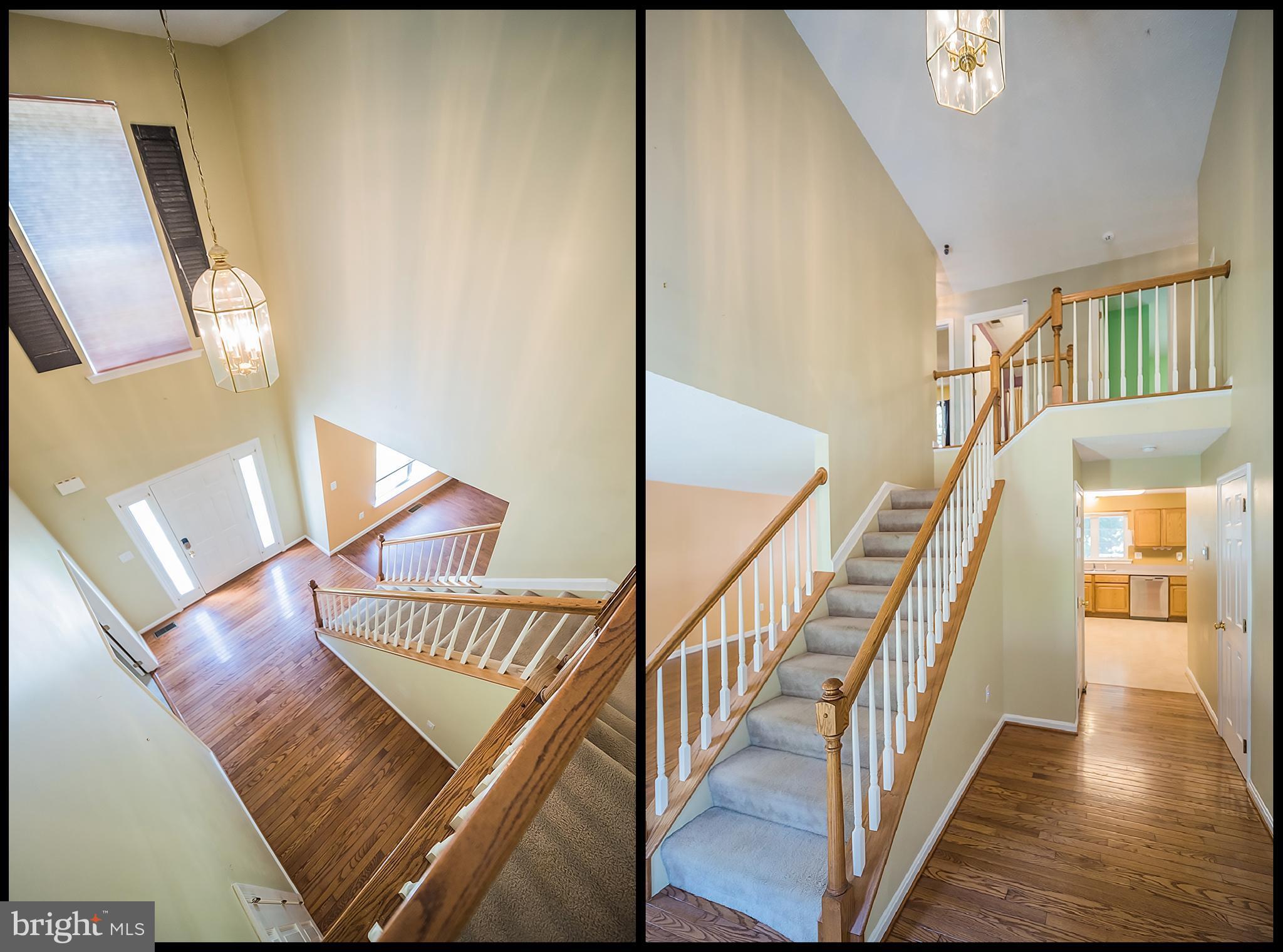 JAMESTOWNE SUB LA PLATA - Residential