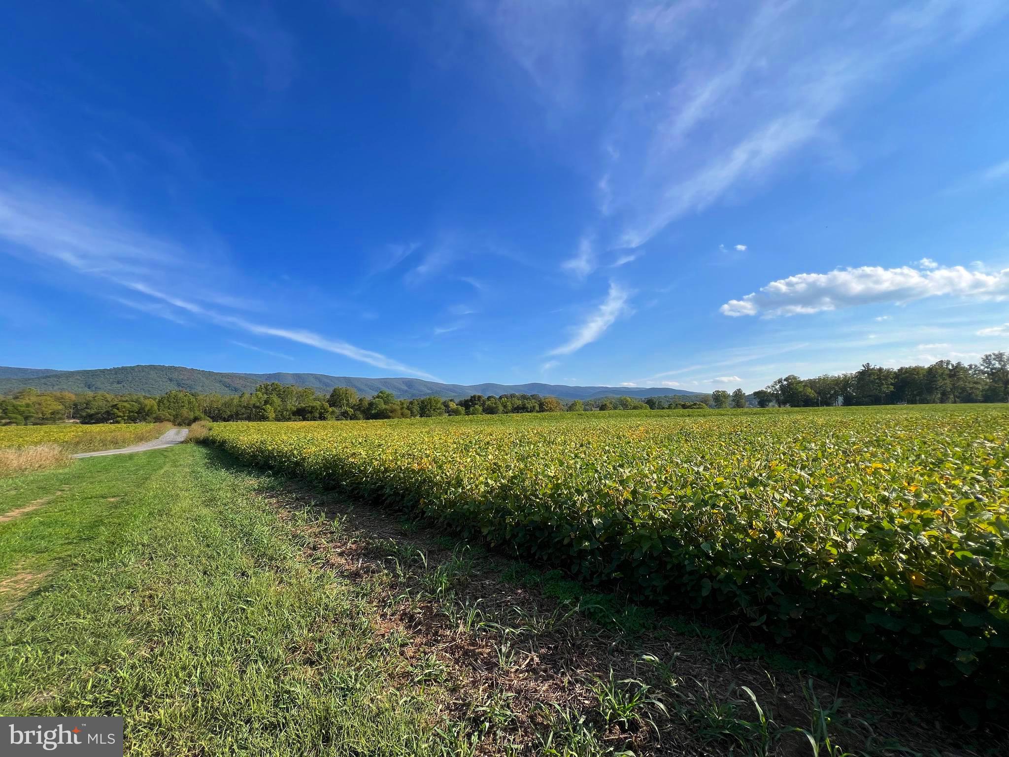 LITTLE MOUNTAIN ESTATES - Residential
