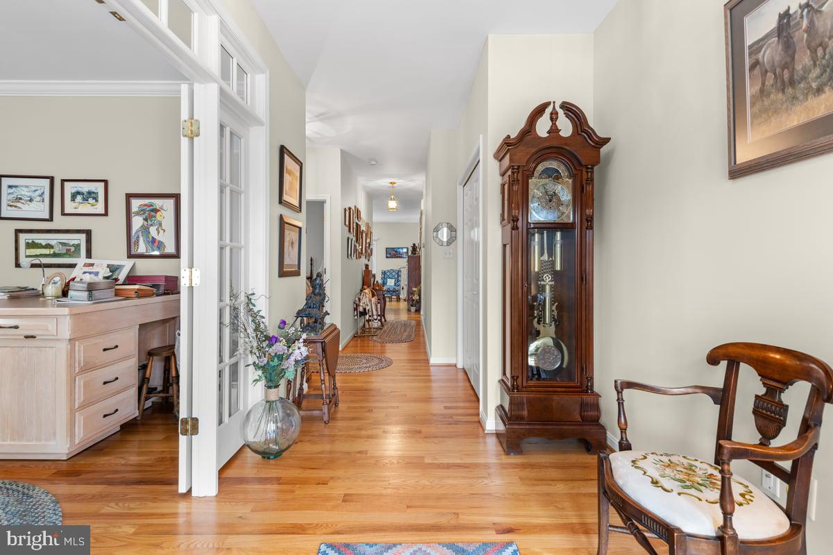 GREENWICH PARK - Residential