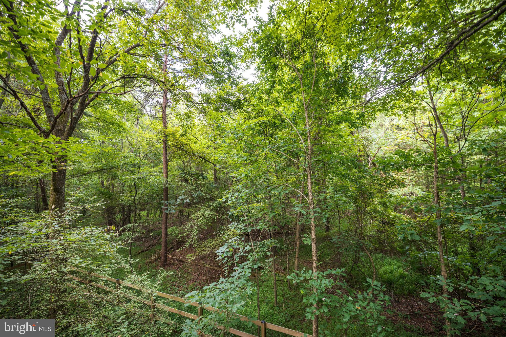 CEDAR CREST - Residential