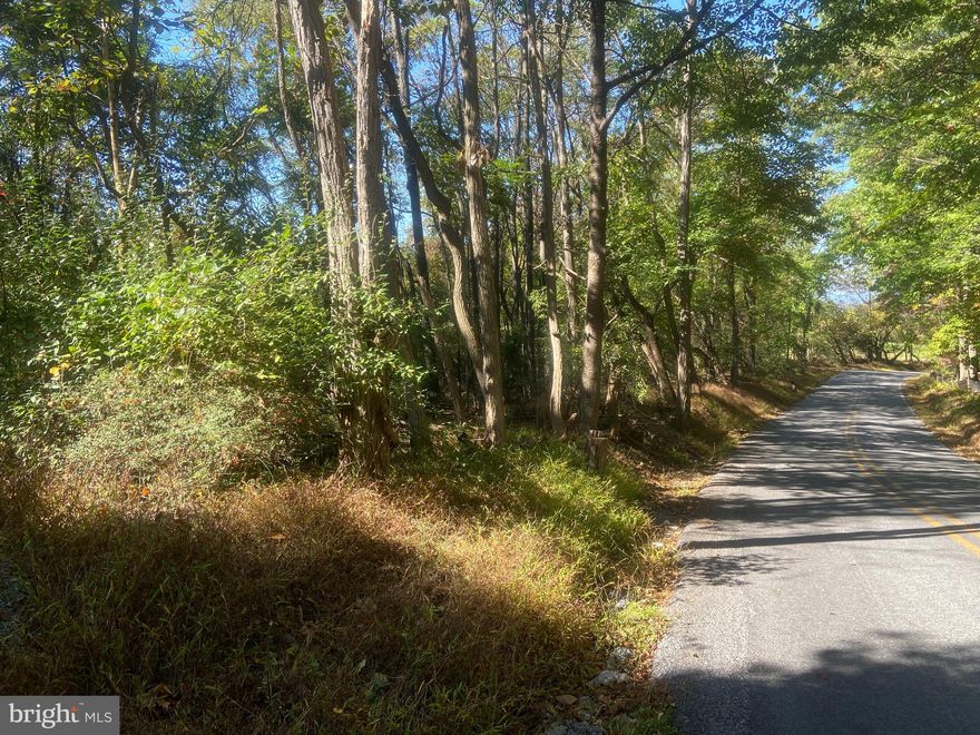 If you’re looking for a quiet location to build your new home that provides easy access to local amenities but feels as though you have your own mountain escape, explore this 5.51 acres just outside of Boonsboro. This property location is set along Keadle Road, which is serene and wooded, providing an ‘escape to the mountains’ feel. Imagine the possibility of building your ideal retreat just minutes from the conveniences of town. The road frontage provides easy access to electricity and this property has perced in the past but would need a new test. While I was walking the property I jumped Whitetail throughout and also found a couple of bedding areas and scrapes. This property holds the potential to become your dream build with the ability to step into your backyard to enjoy your own piece of nature around South Mountain.