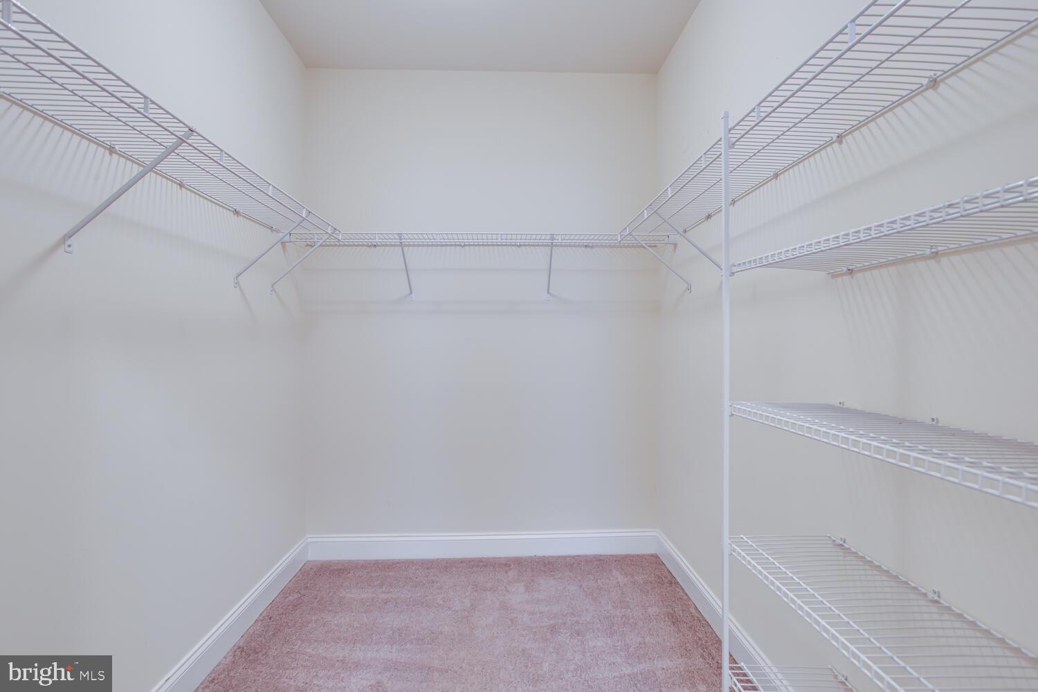 STEEPLECHASE - Residential