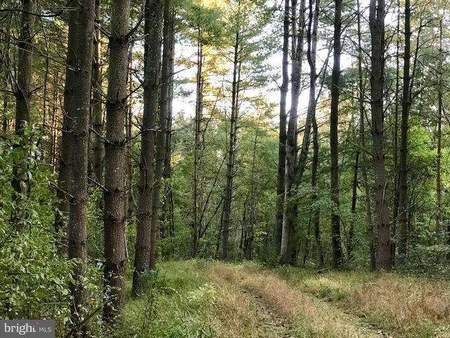 NONE AVAILABLE - Land