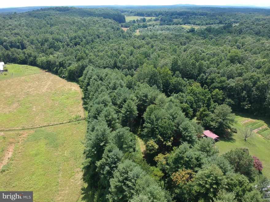 Build your dream home on 20 wooded acres on Black Hill Rd or subdivide immediately.  Proposed subdivision plat available for two 10-acre lots. Property features 800' driveway, two approved perc sites & running stream. Very private and secluded. Great for hunting, ATVs and recreational fun! Property is 15 minutes from Old Town Warrenton & downtown Culpeper and close to 211 & 229.  Sign on property.
