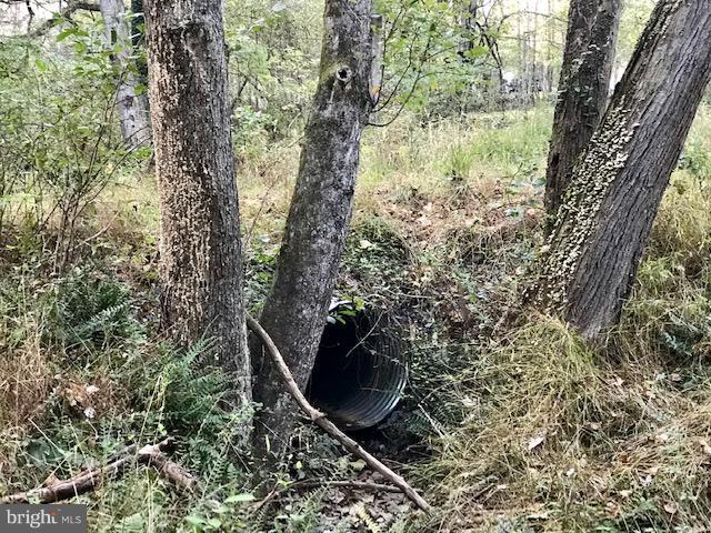 NONE AVAILABLE - Land