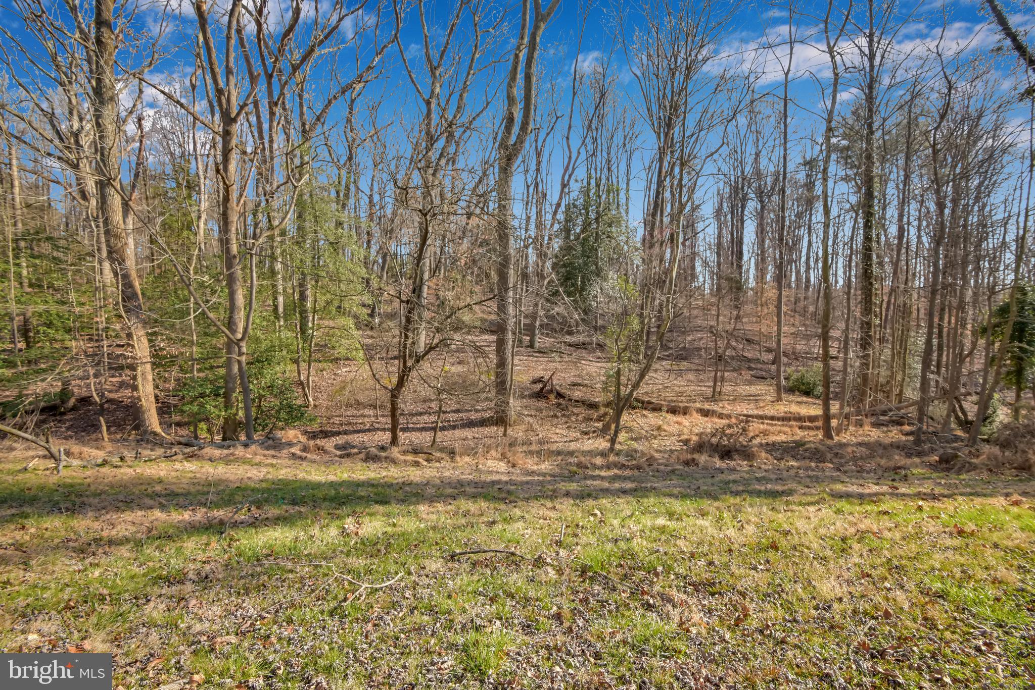 MASON NECK - Residential