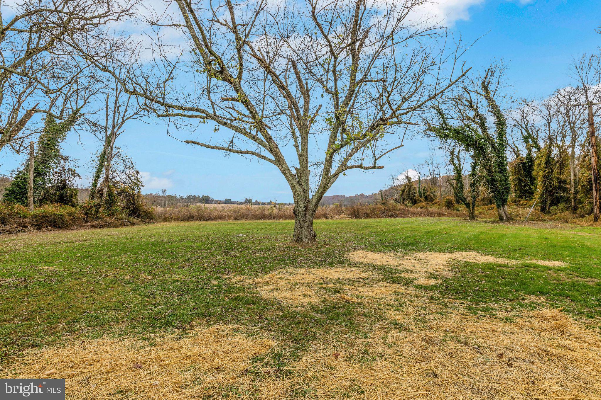 GREENSPRING VALLEY - Residential
