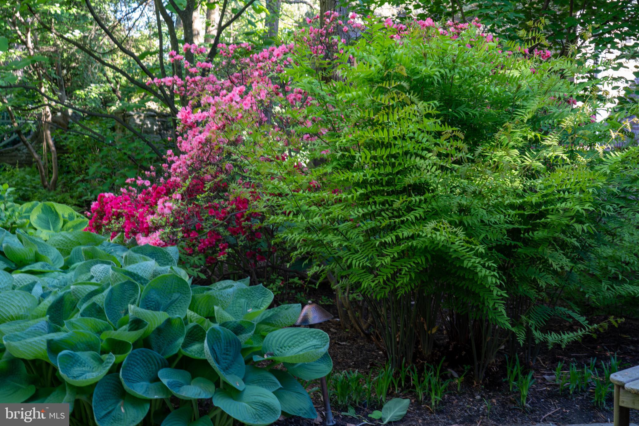 PHILADELPHIA (NORTHWEST) - Residential