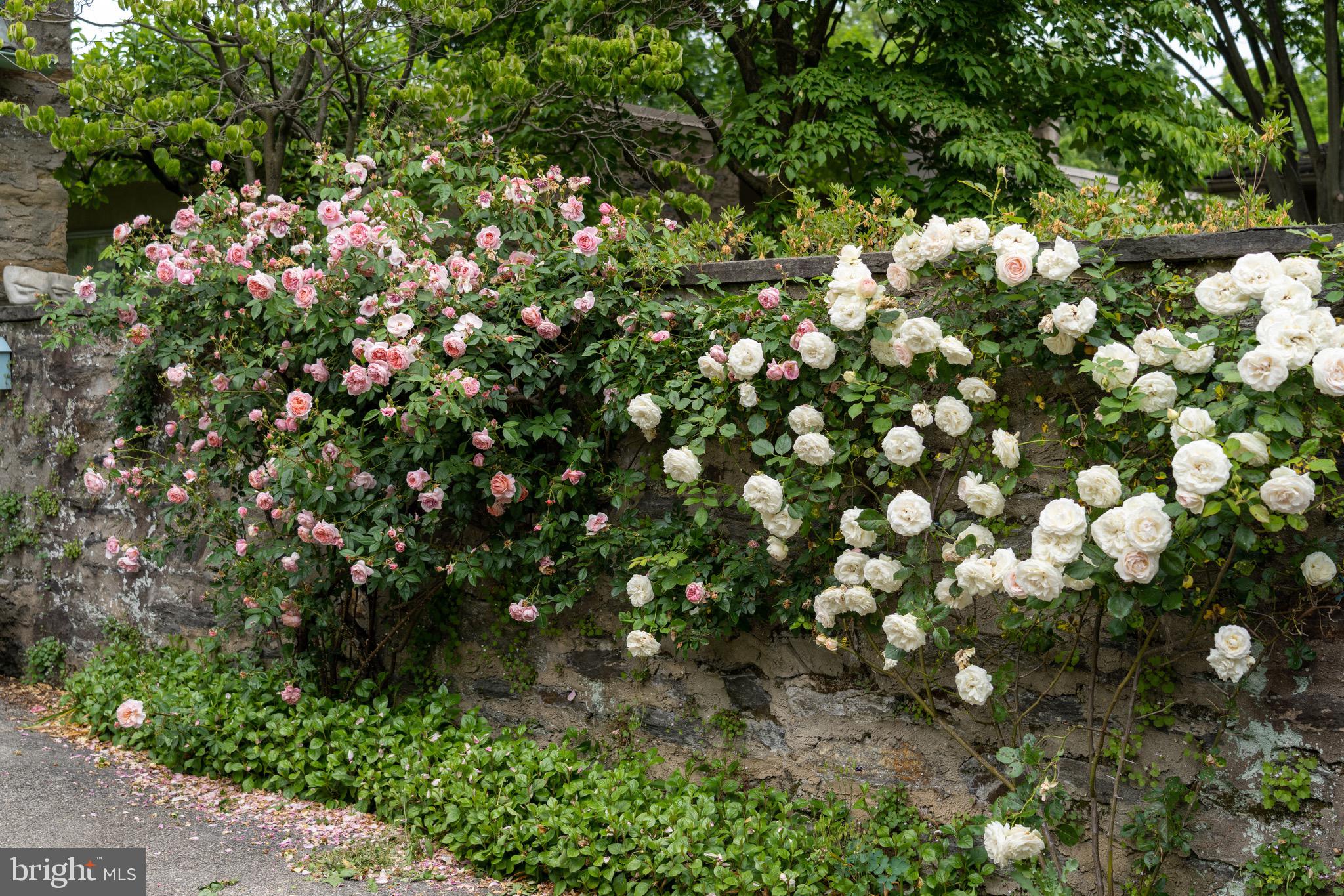 PHILADELPHIA (NORTHWEST) - Residential