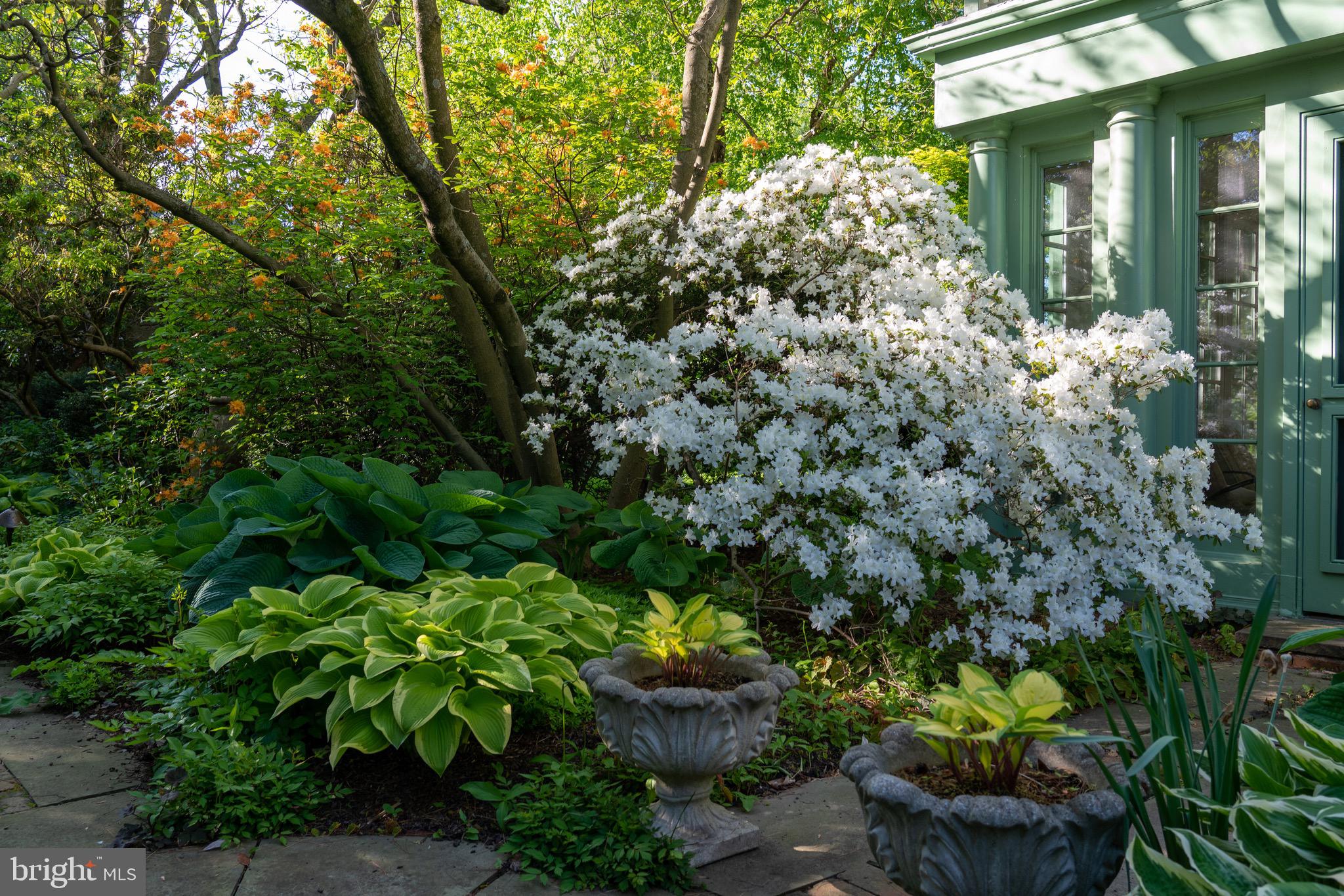 PHILADELPHIA (NORTHWEST) - Residential