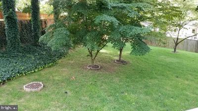 DALE CITY - Residential