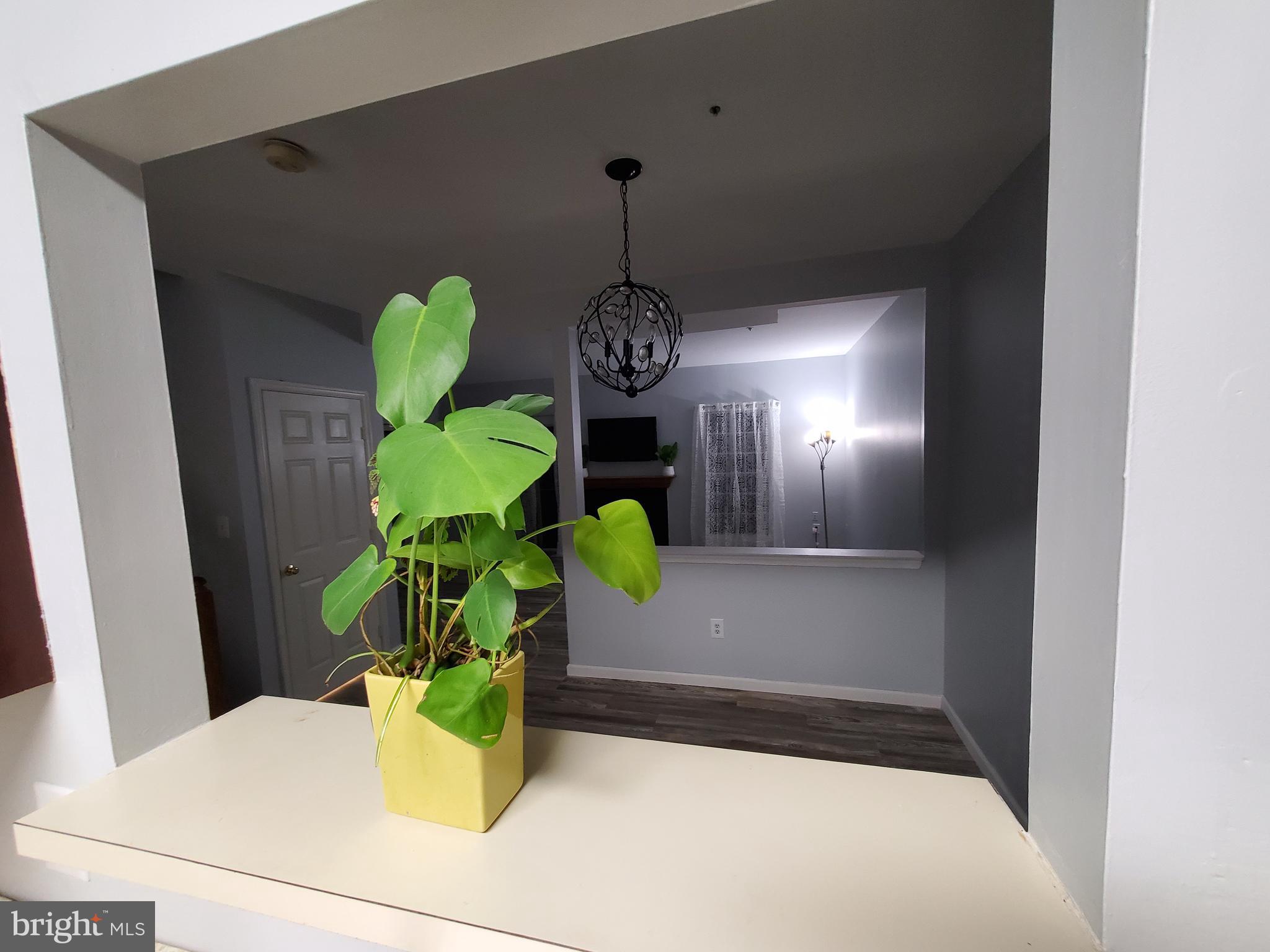 SOUTH ADDISON HGHTS TOWN - Residential