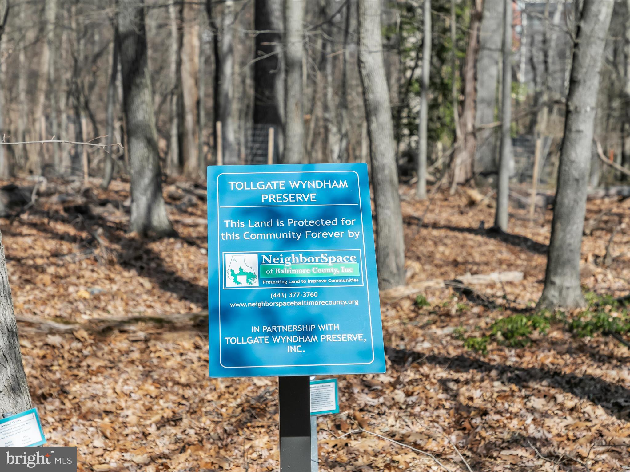 WYNDHAM COMMON - Residential