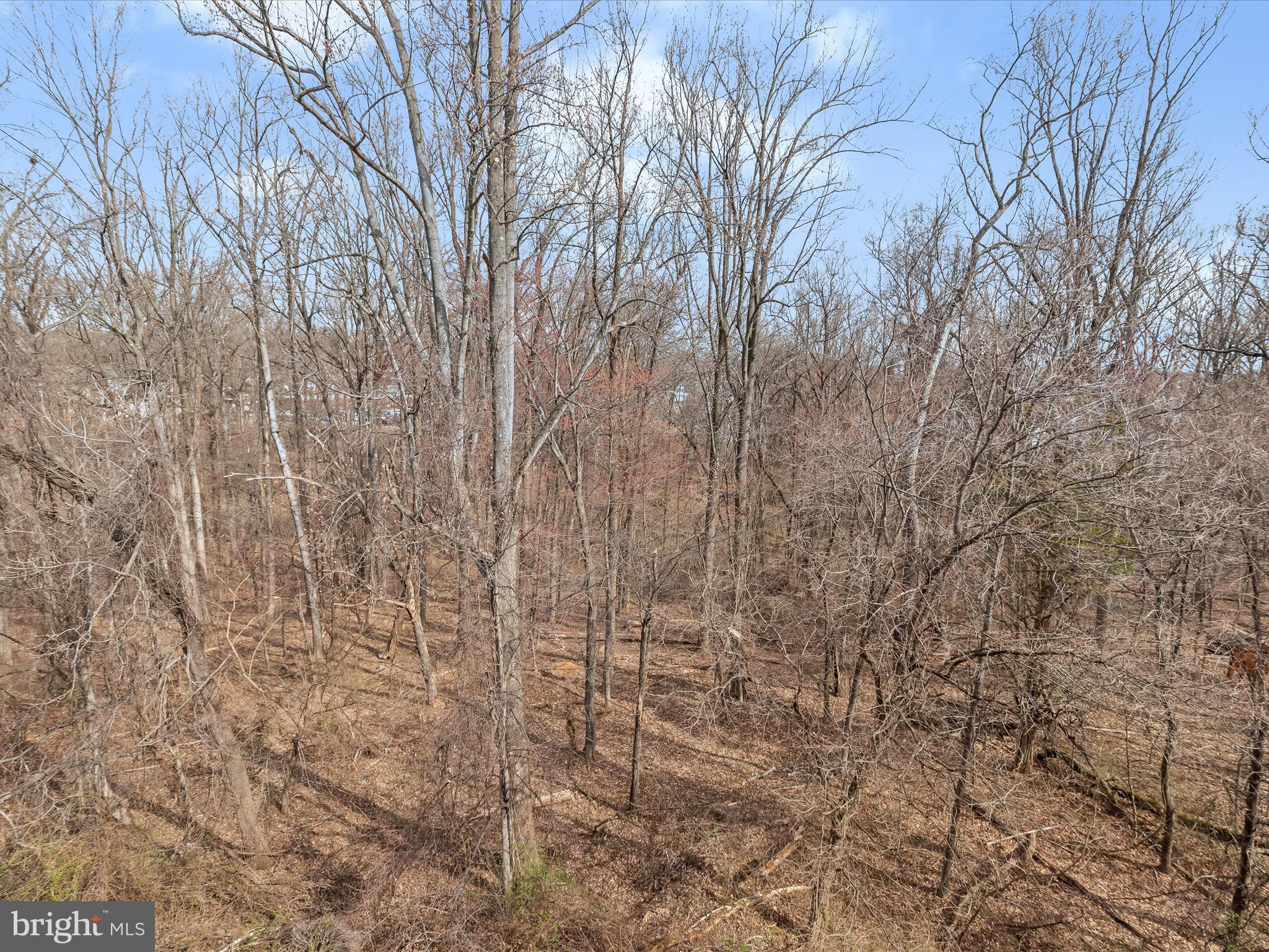 WYNDHAM COMMON - Residential