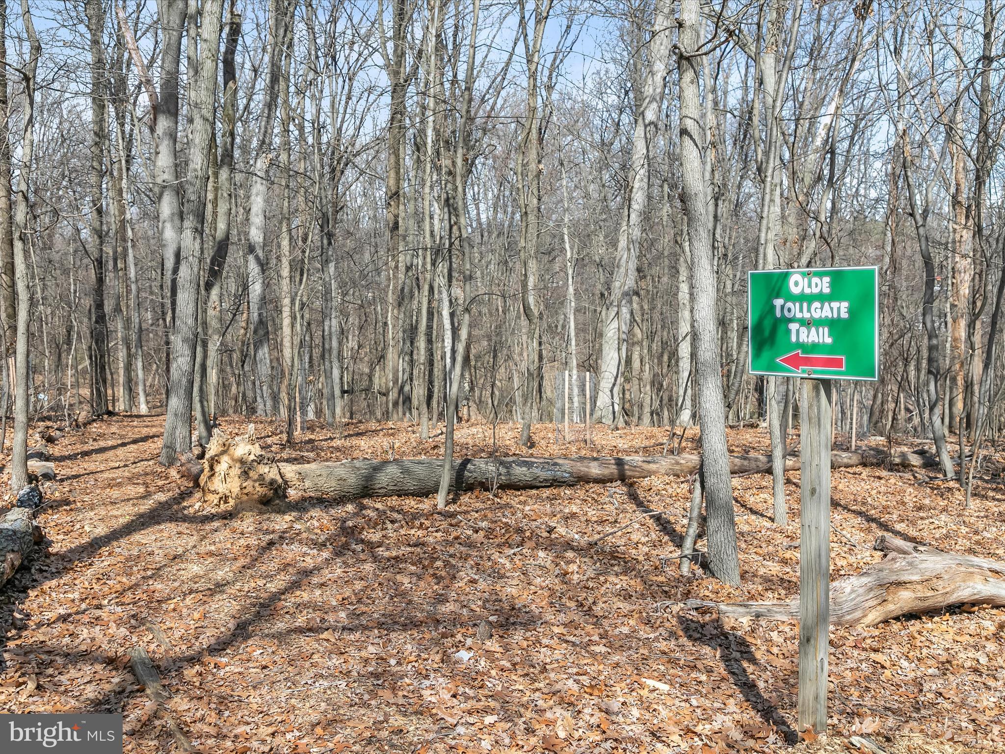 WYNDHAM COMMON - Residential