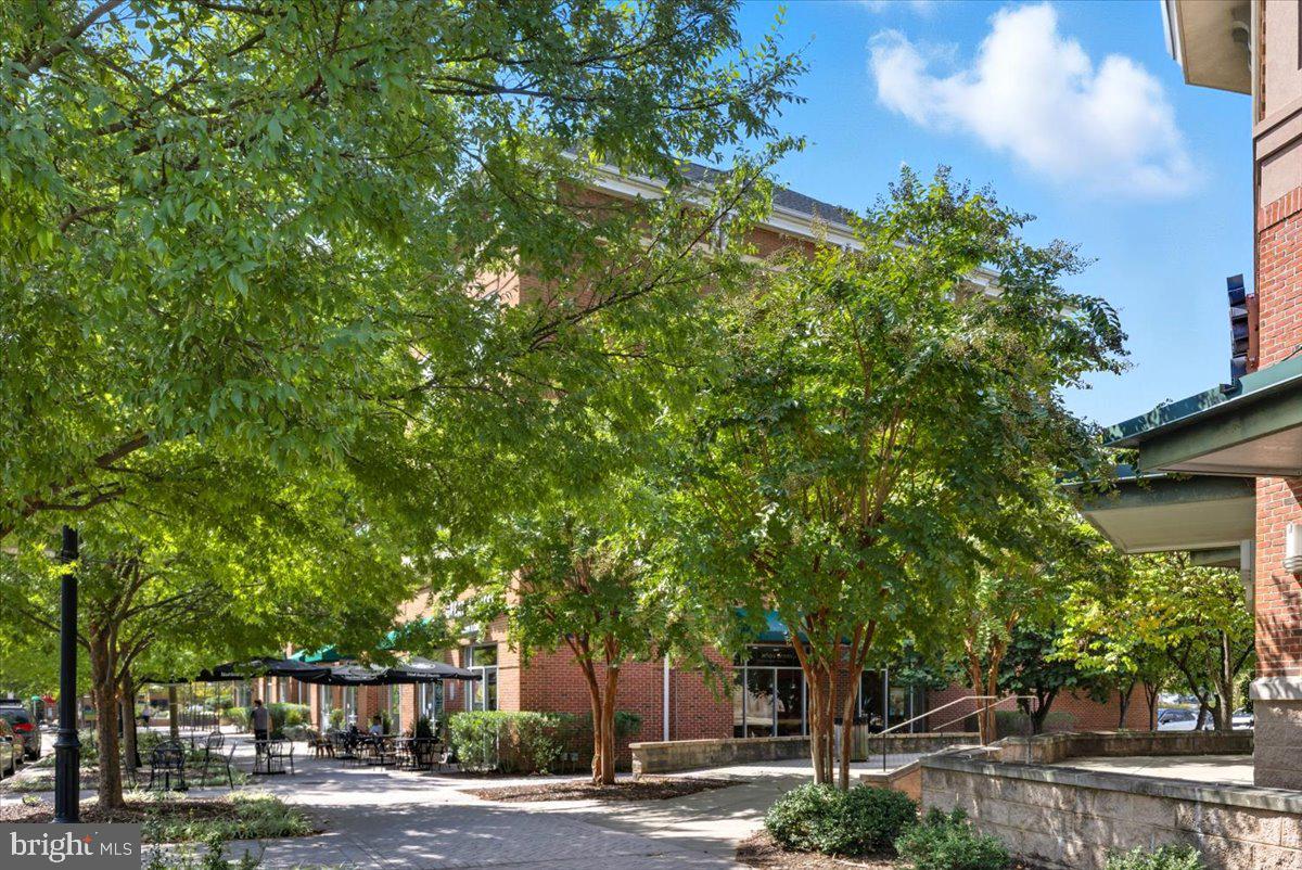 RESIDENCES OF LORTON STATION - Residential