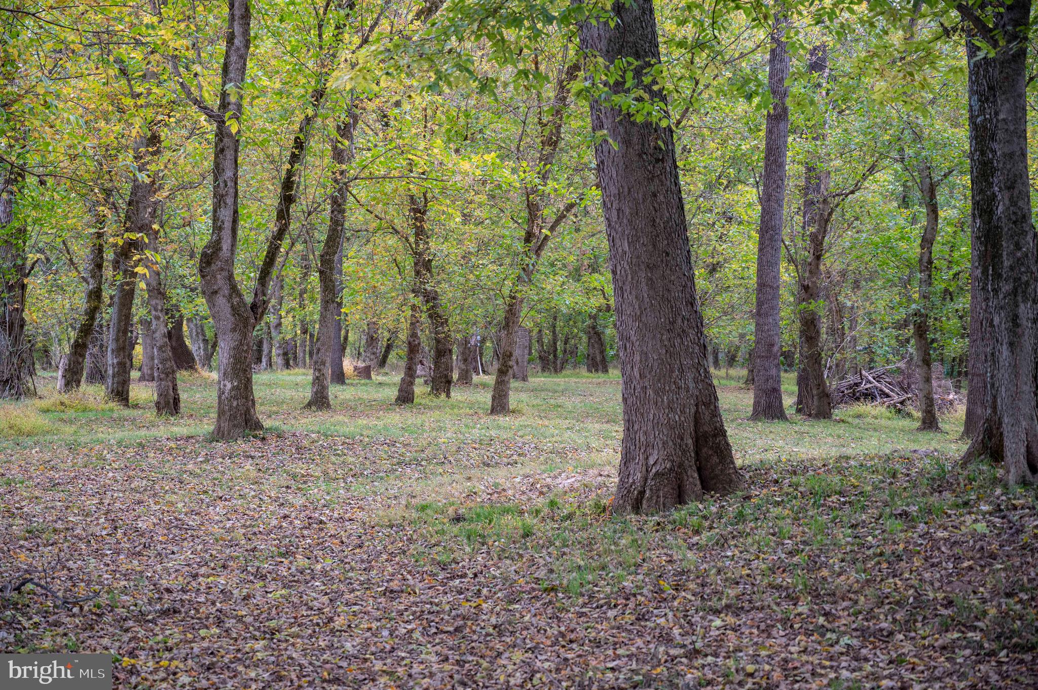 THUNDERBIRD FARM - Residential