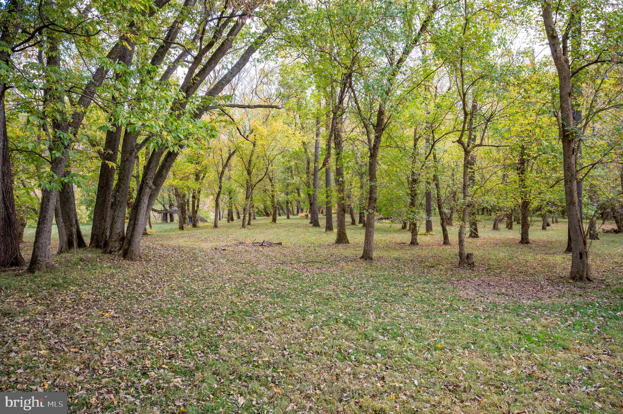 THUNDERBIRD FARM - Residential