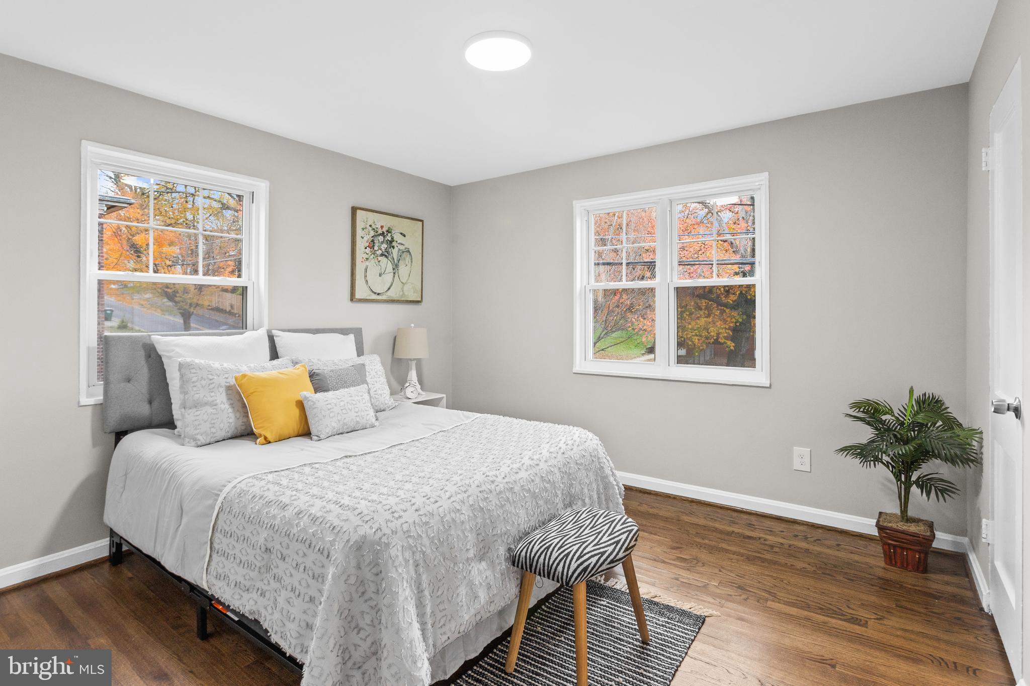 MOUNT RAINIER - Residential