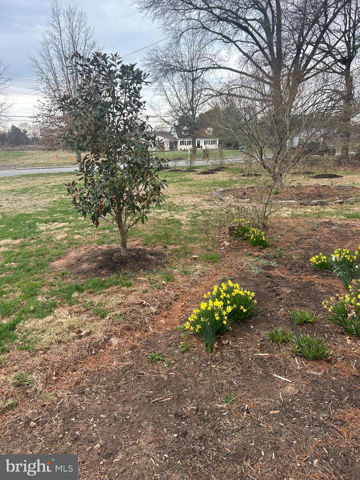 PROVIDENCE RIDGE - Residential Lease