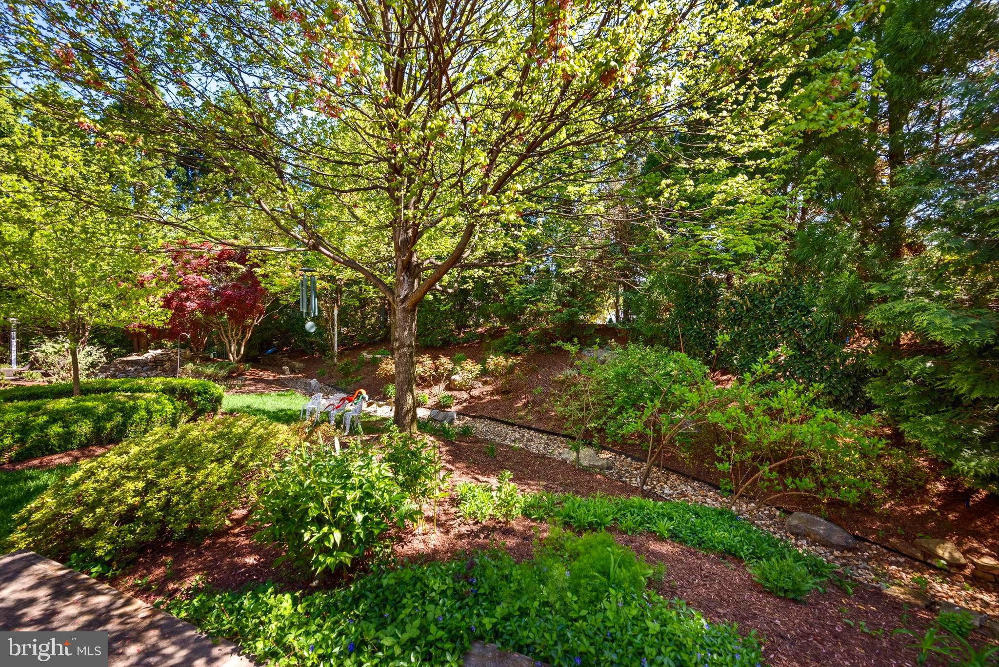 MEADOW BRANCH - Residential