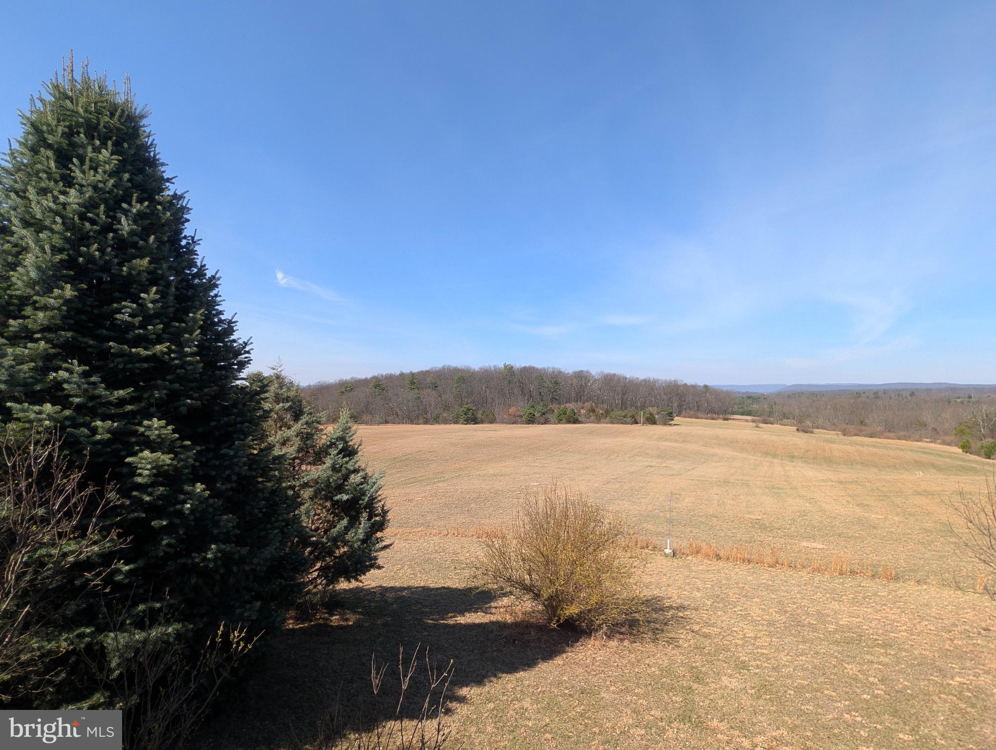 NONE AVAILABLE - Farm