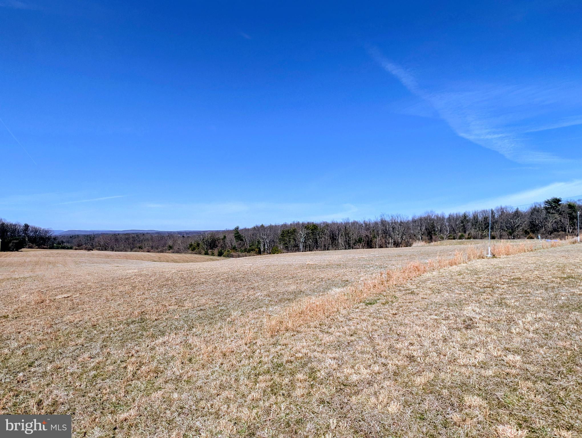 NONE AVAILABLE - Farm