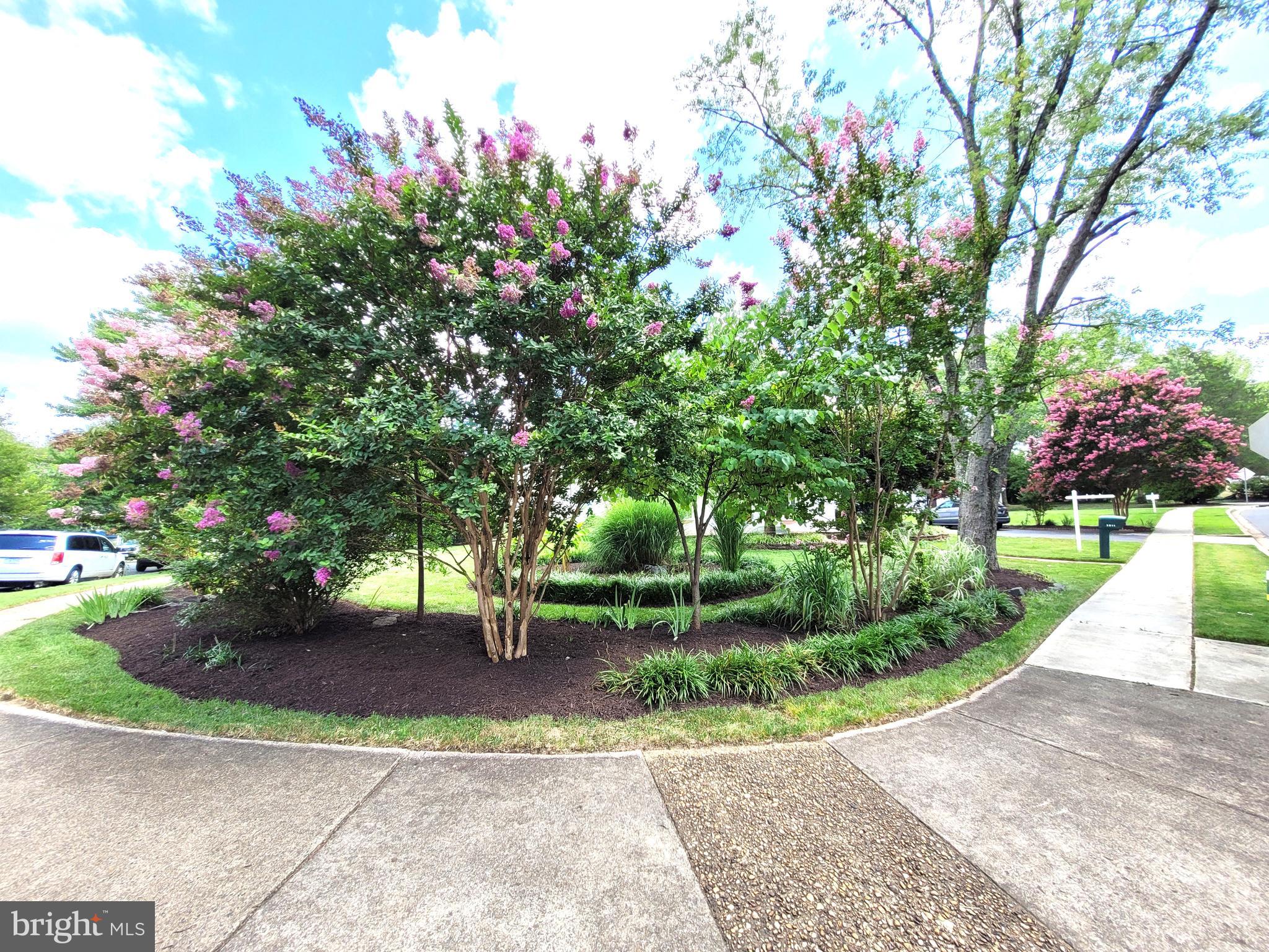 3911 SHELLEY LANE