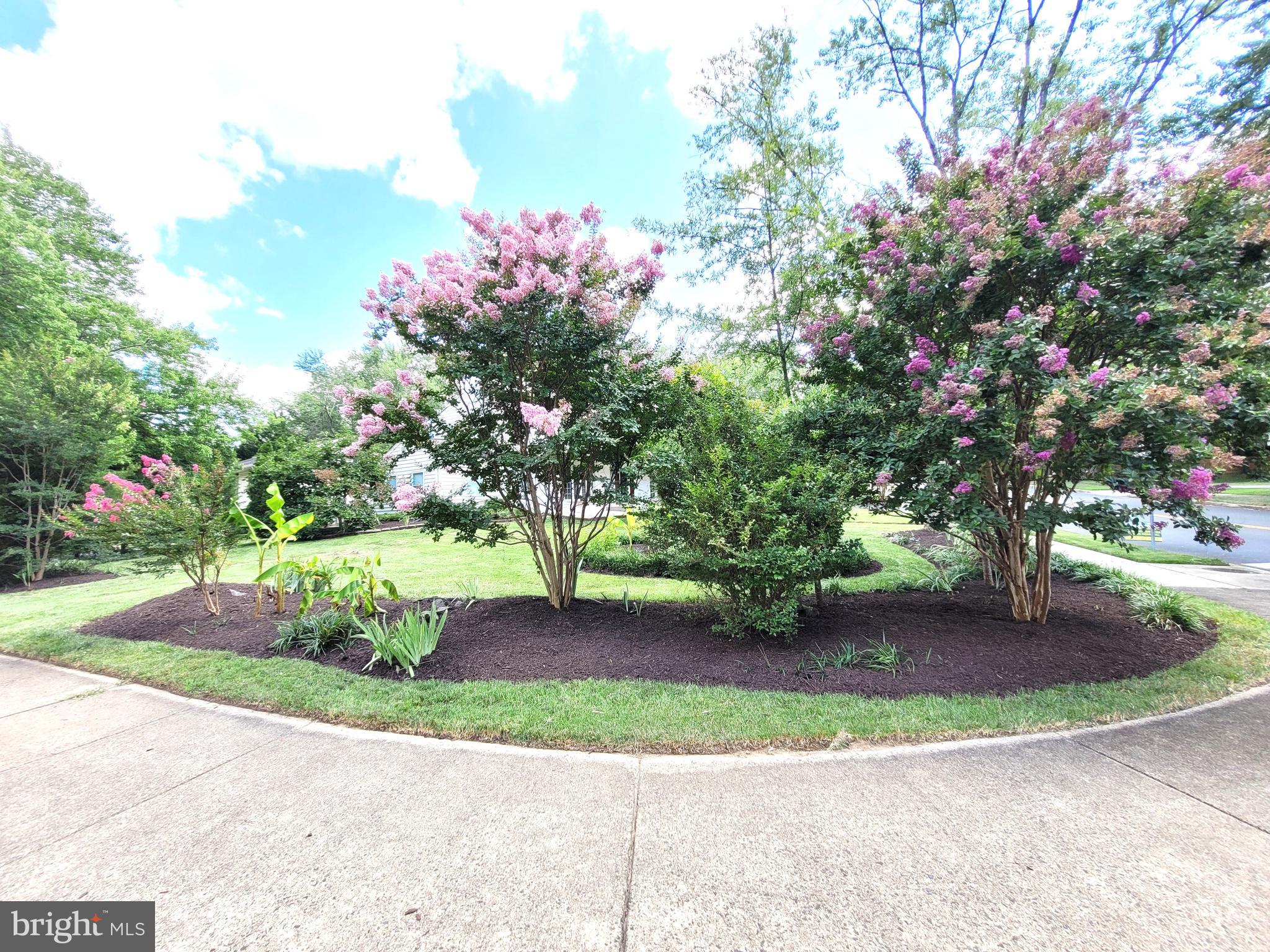 3911 SHELLEY LANE