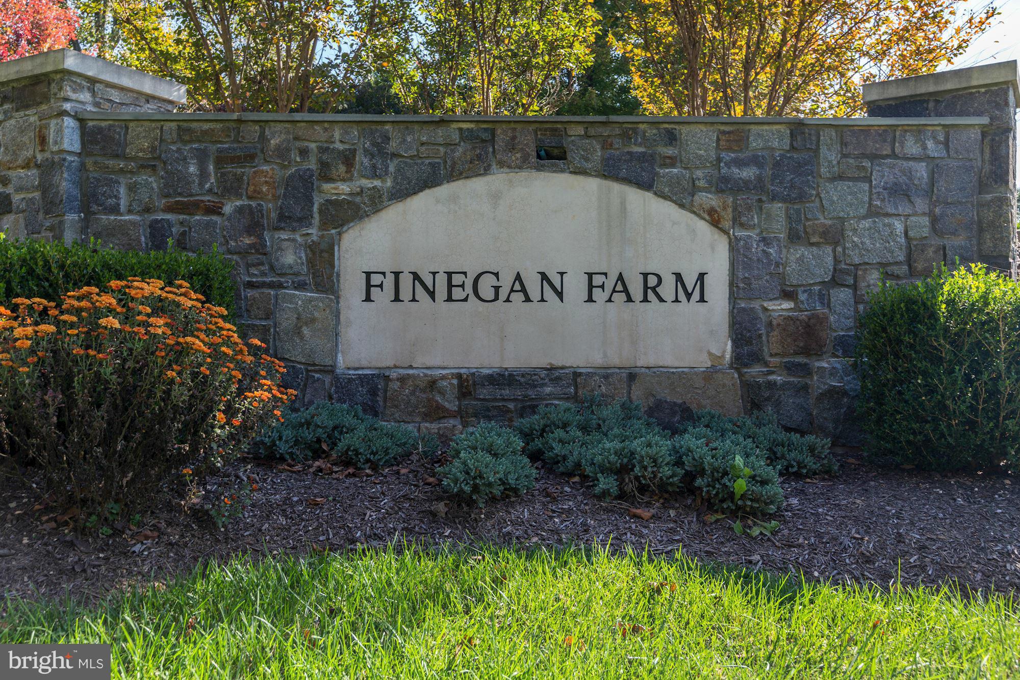 FINEGAN FARM - Residential