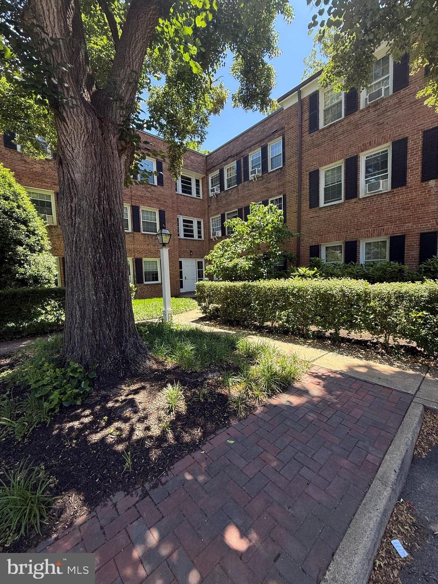 Don't miss this large, well maintained two bedroom, one bath condo in Arlington at such a great price! So close to shops, restaurants, schools, parks, biking and hiking trails, public transportation, and everything else the bustling Columbia Pike has to offer! You will love the freshly painted open and airy living space with updated kitchen and brand new LVP flooring throughout. There is great storage in the unit, with an additional storage space close to the laundry room. The low condo fee covers cover​s gas, electric, heat, water, AC, parking, snow removal, trash and common ground maintenance.  There is plenty of parking for guests. The building is pet friendly as well. 
SUNDAY OPEN HOUSE CANCELLED