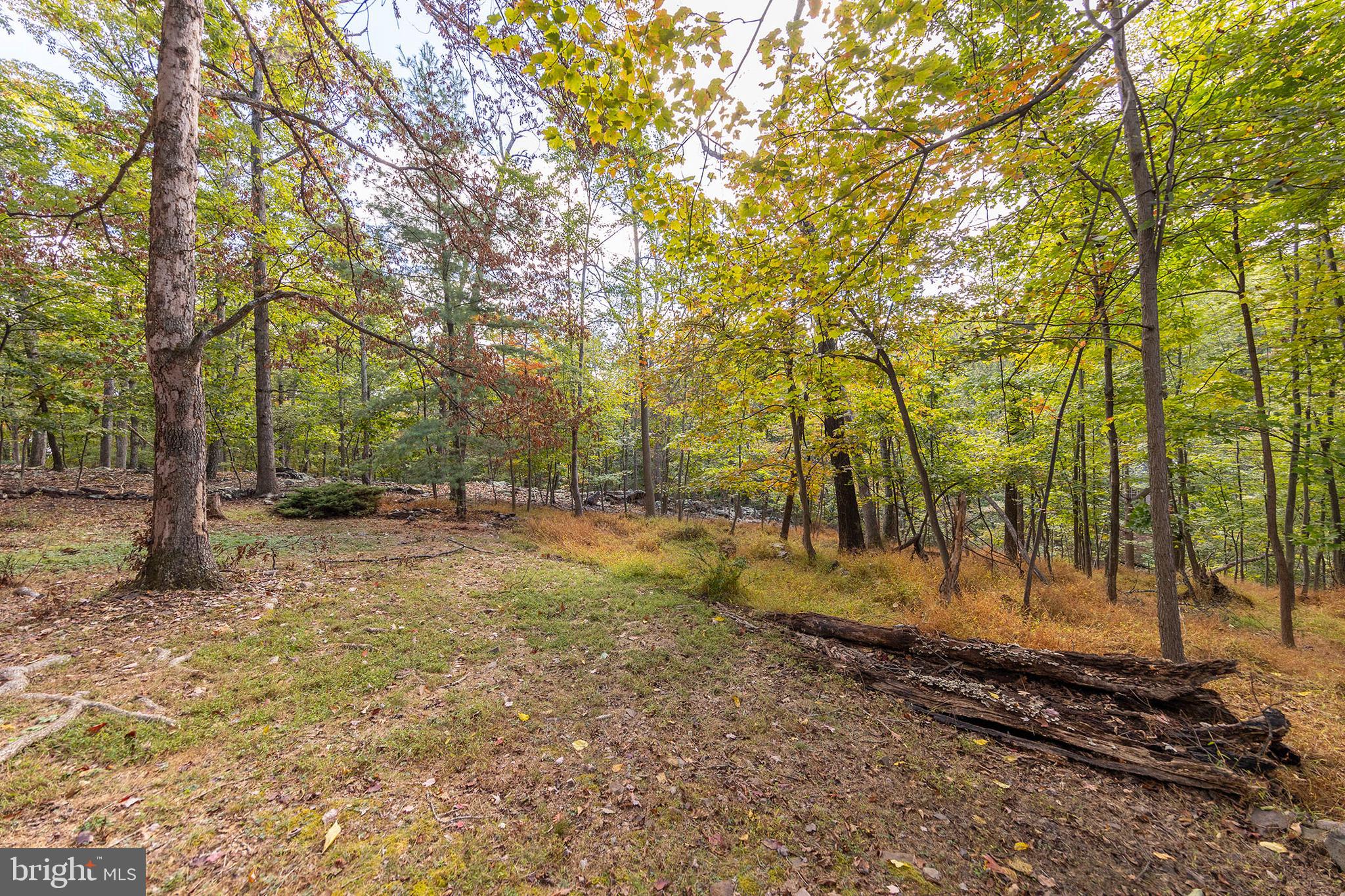 THE WOODS RESORT - Residential