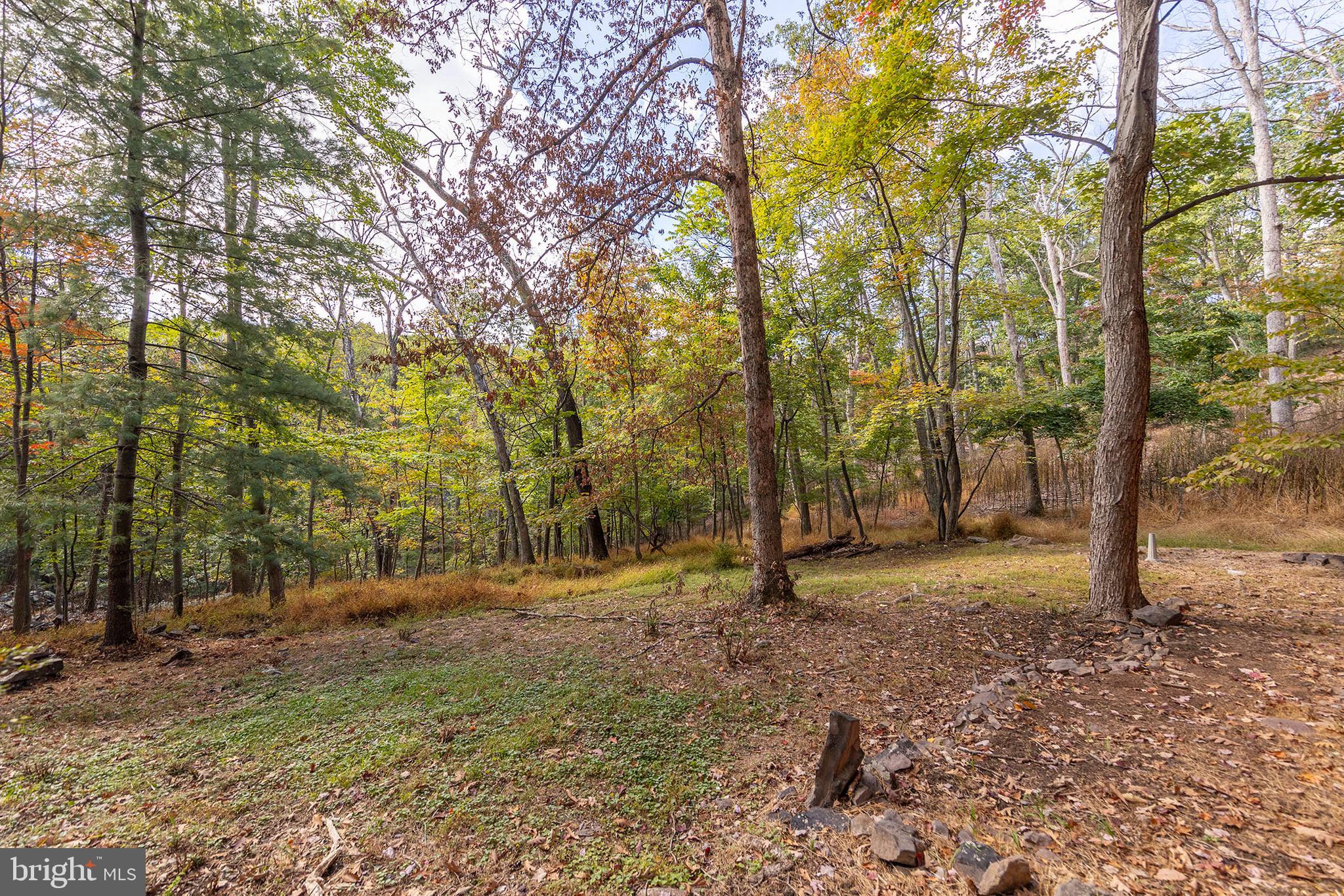 THE WOODS RESORT - Residential