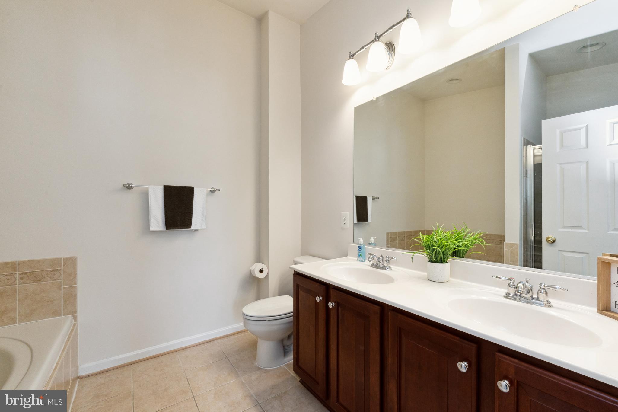 ALBEMARLE SQUARE - Residential Lease