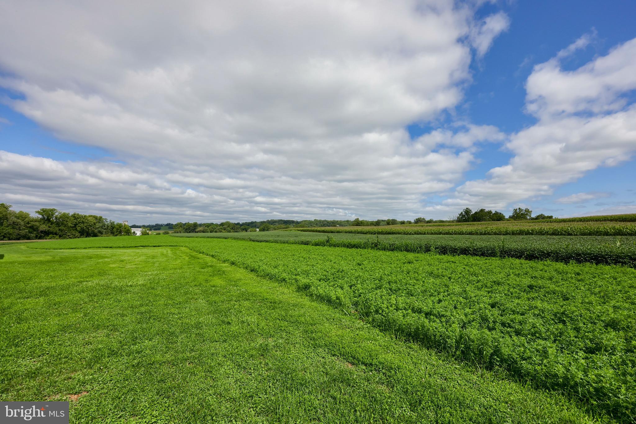STRASBURG - Residential