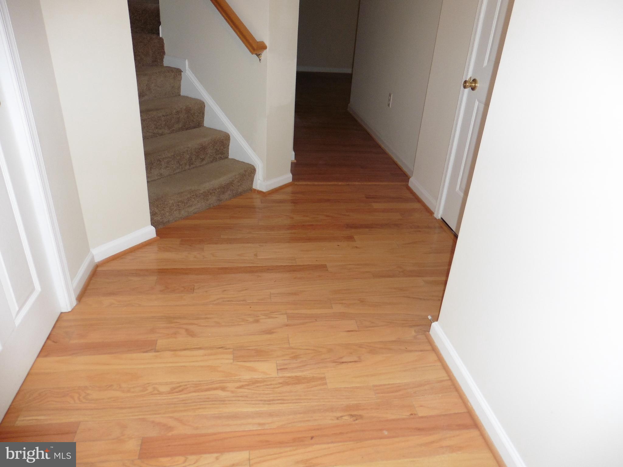 TROUT RUN - Residential