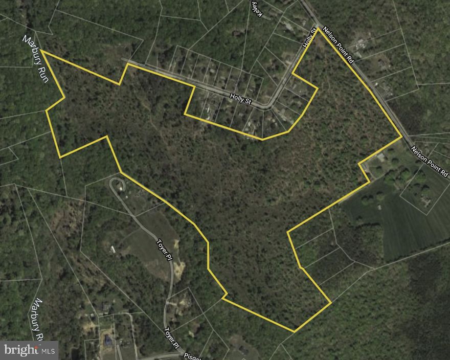 100 Acres that was previously perced and engineered to be 7 lots, but never recorded. It would be fairly easy to update the engineering and record a subdivision. Build 1 home or 5! Great for a family compound. Great for hunting/recreation! Lots of privacy in a country setting away from the crowds, yet only a short drive to Washington DC, Northern Virginia and National Harbor! Sellers will consider owner financing!