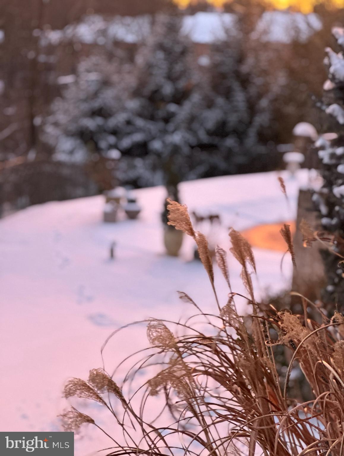 WILSHIRE ESTATES - Residential