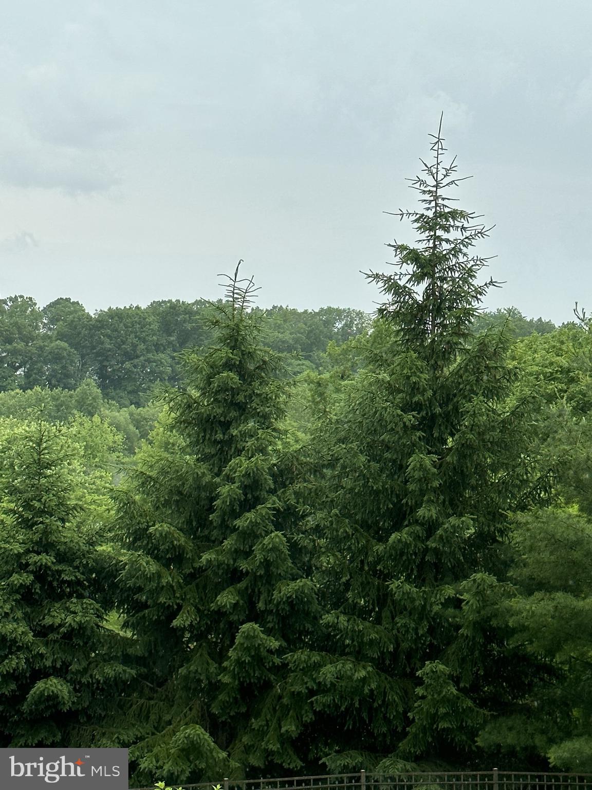 WILSHIRE ESTATES - Residential