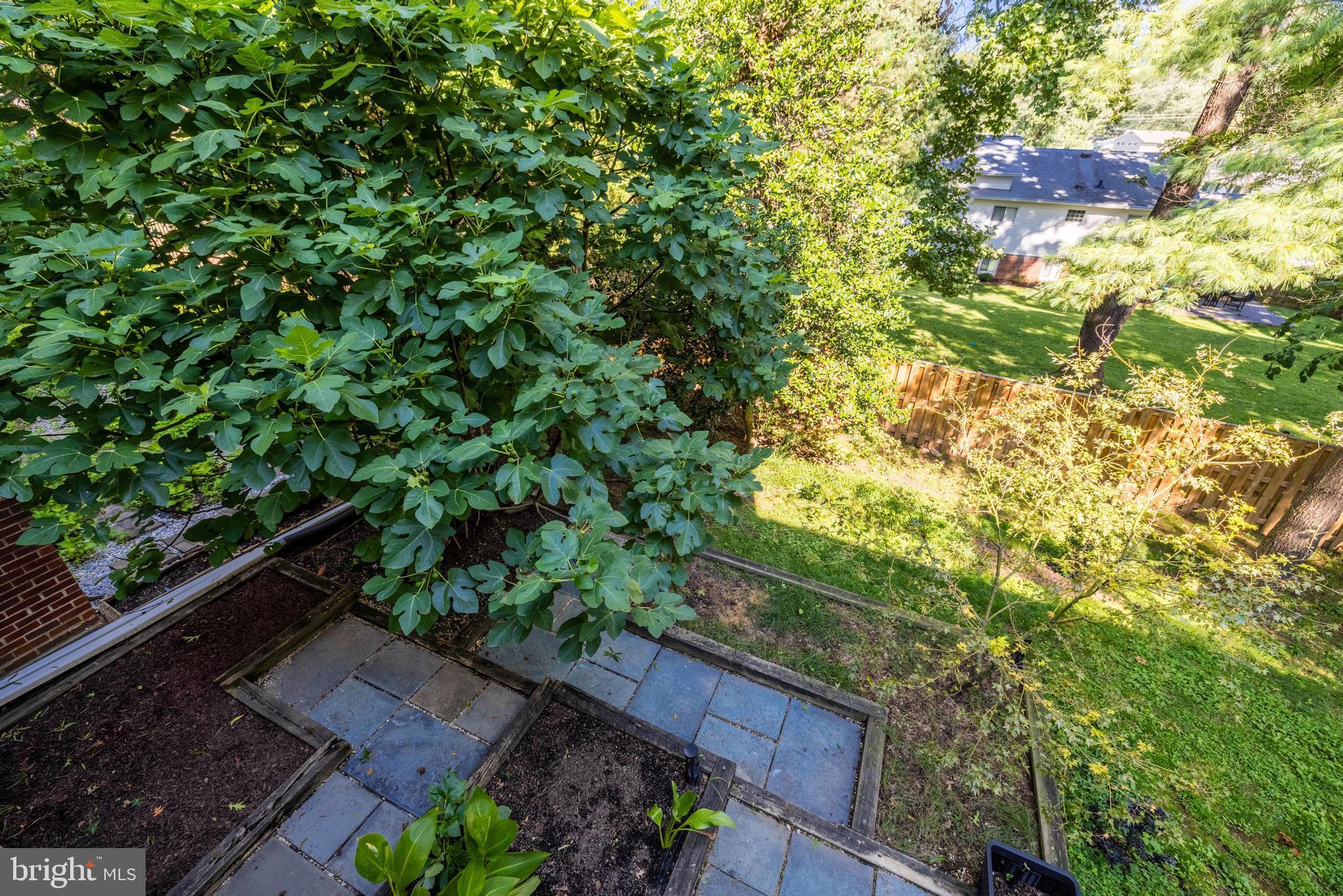 LIMEWOOD MEWS - Residential