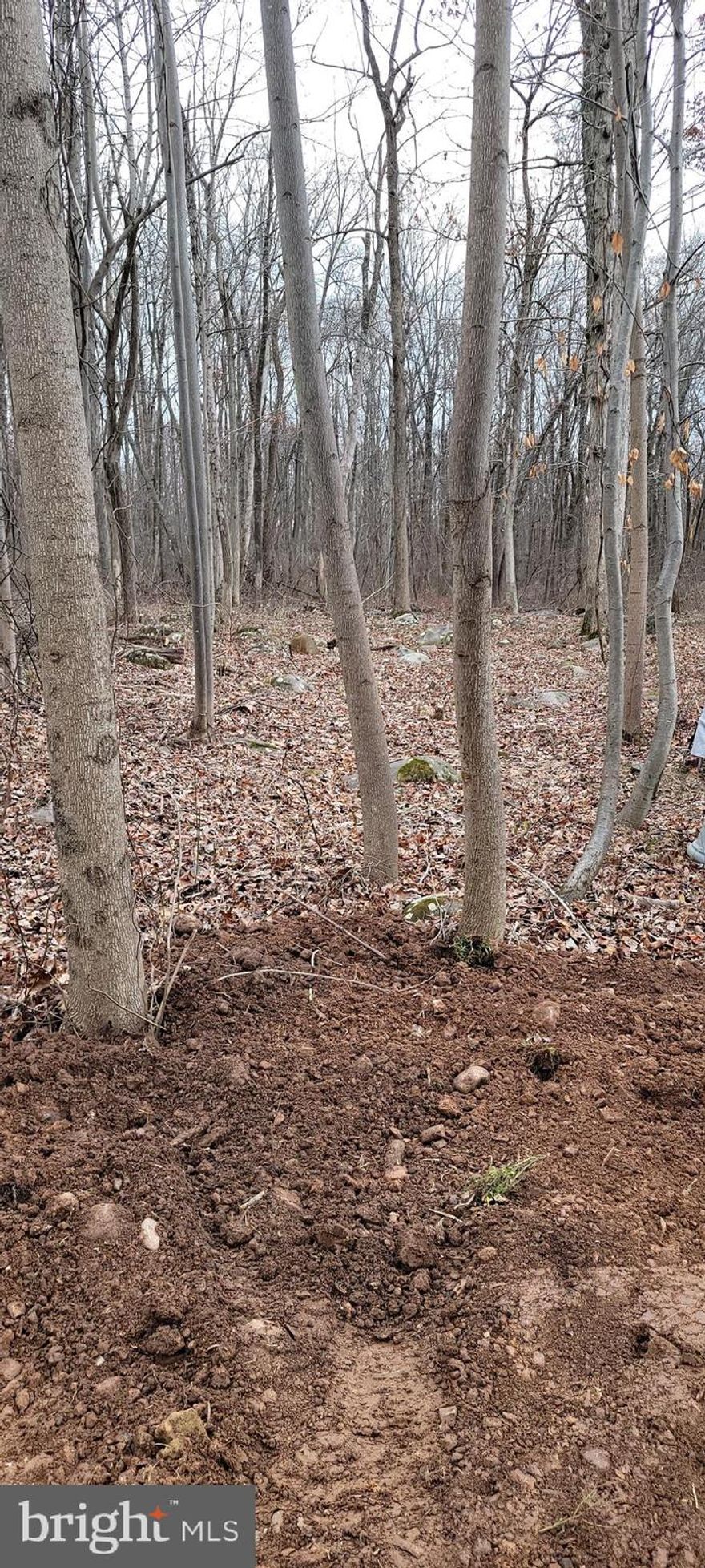 This a beautiful .28 acre lot ready for your builder of choice. Want a weekend retreat or a full time residence? This is a great community with pool and activities to do that in! Owner is a PA licensed Realtor with an additional lot for sale! Buyer responsible for any perc, survey or tests. As Is sale. This can be a wonderful investment opportunity to rent out.
Buyer financing possible, another lot available in the development.