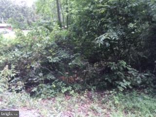 NONE AVAILABLE - Land