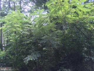 NONE AVAILABLE - Land