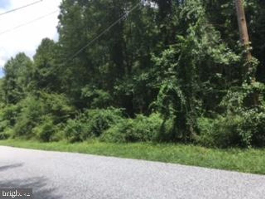 NOW is your chance to build your dream home!  The one with the picture windows looking out onto the stream! This 2.87 acre lot has so much potential to give you a private wooded charmer you've always wanted with plenty of land to spare!
