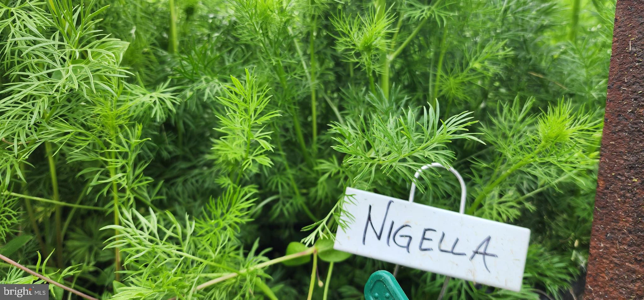 NONE AVAILABLE - Land