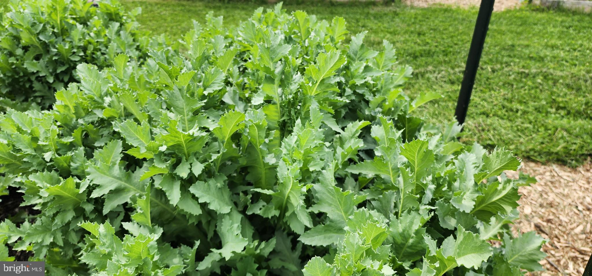 NONE AVAILABLE - Land