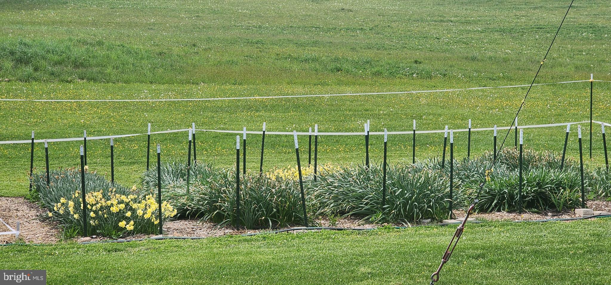 NONE AVAILABLE - Land